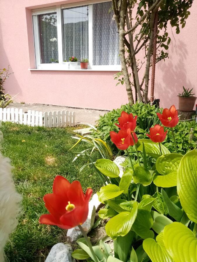 Apartman Vesna Ovcar Banja Eksteriør bilde